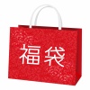 冬謹賀新年新春初売りセールハッピーバッグ福袋赤イラストお年玉キャンペーン紙袋素材