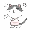 ハチワレ★ニャンコシリーズ★怒る★プンプン怒る★