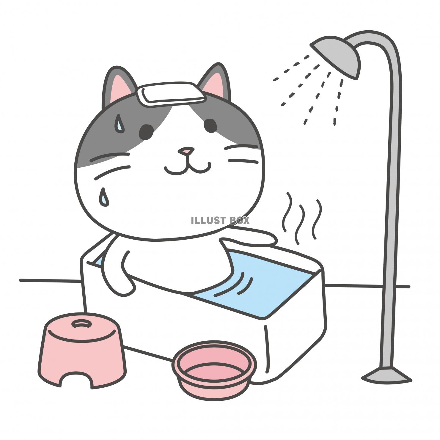 無料イラスト ハチワレ ニャンコシリーズ お風呂 シャワー