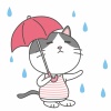 ハチワレ★ニャンコシリーズ★雨★傘★梅雨