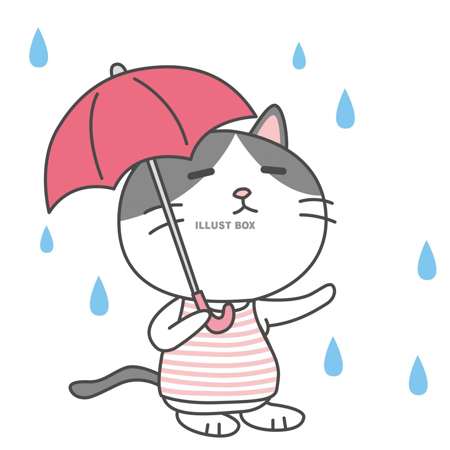 ハチワレ★ニャンコシリーズ★雨★傘★梅雨