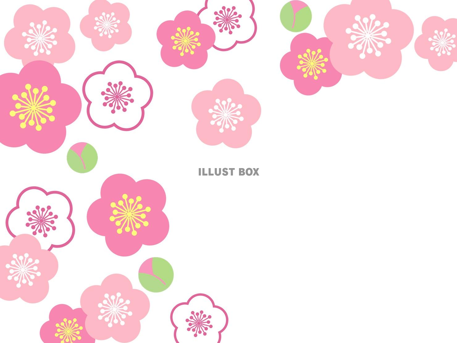 無料イラスト 梅の花模様壁紙和風柄背景素材イラスト