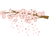 桜の花のイラスト