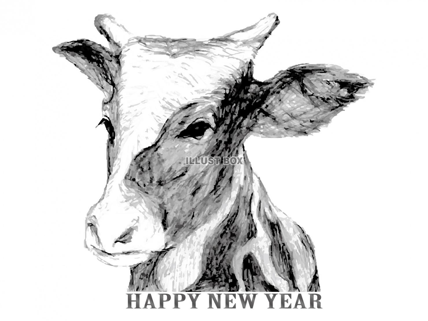 無料イラスト 丑年年賀状手書きリアル乳牛鉛筆画白黒干支モノクロ動物1月新年