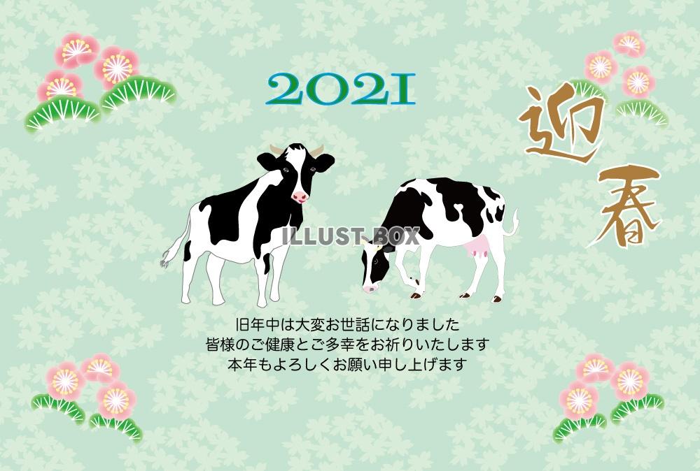 丑年の牛のイラスト年賀状デザインテンプレート2021年うし