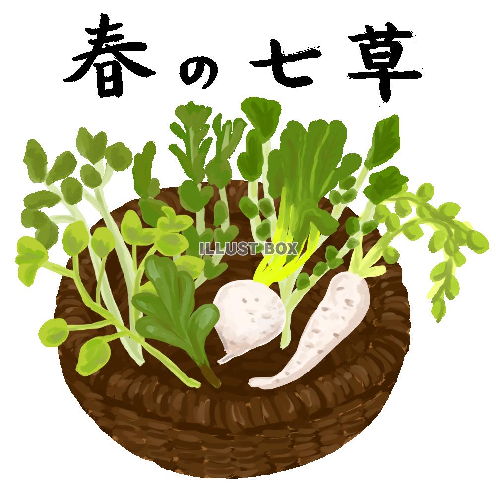 春の七草 イラスト無料