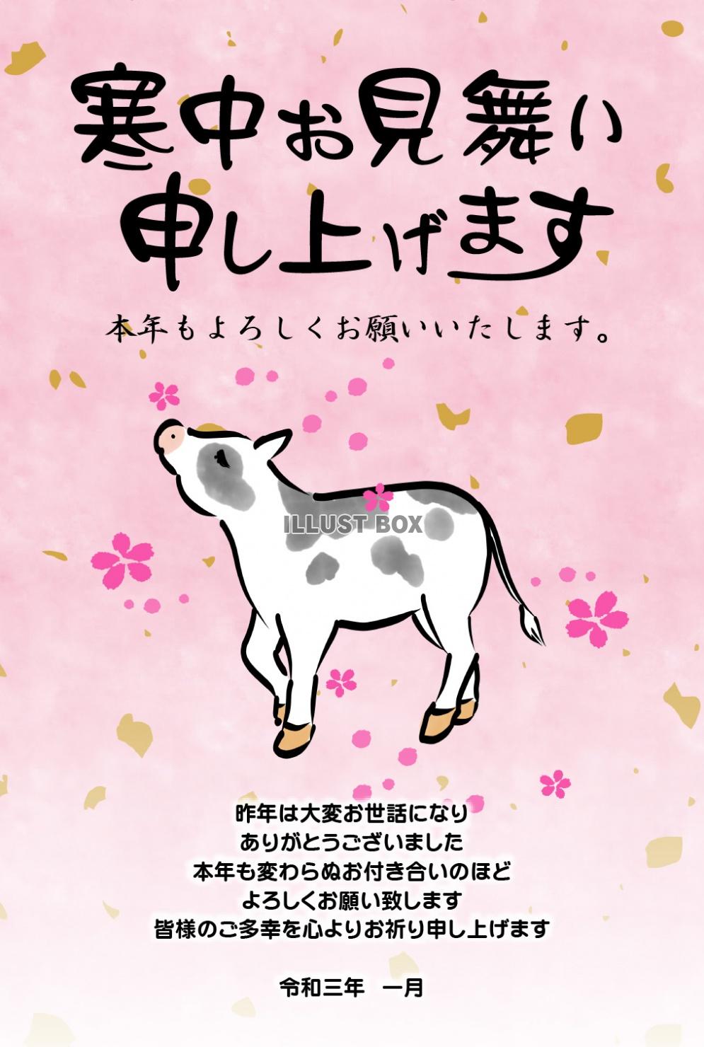 2021年丑年の年賀状　おしゃれな丑年の寒中見舞い　02