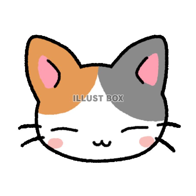 三毛猫　透過png