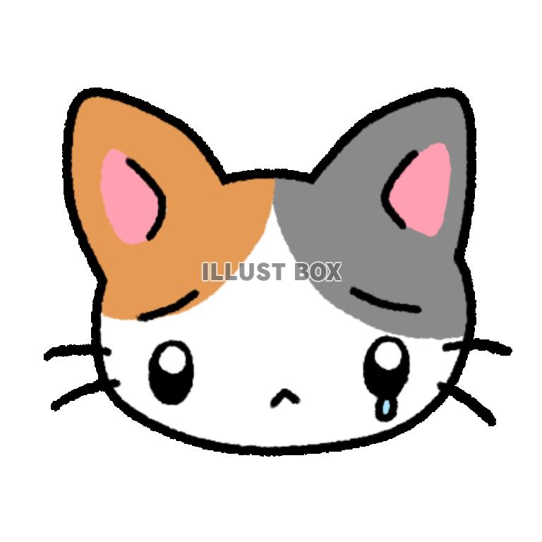 三毛猫　透過png