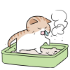 猫砂でくしゃみをする猫