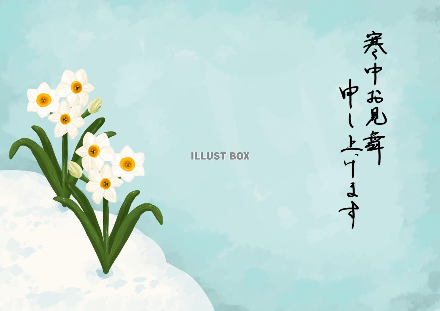 冬の花 イラスト無料