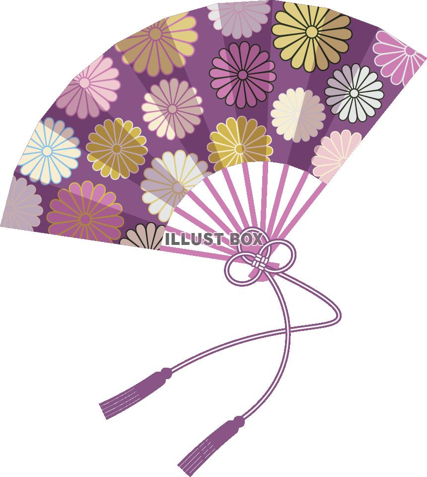 菊の花の扇子─紫