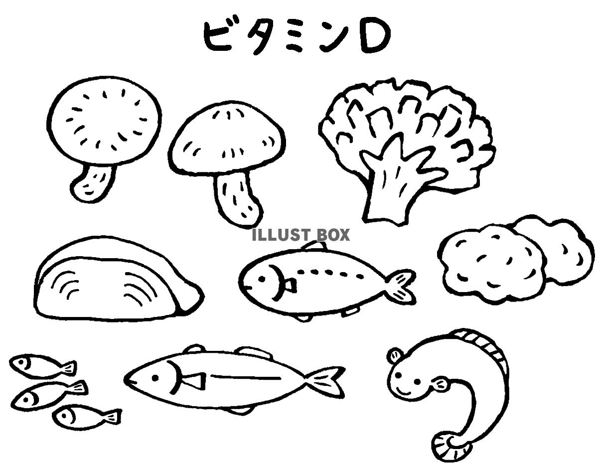 ビタミンDの多い食品１（モノクロ）