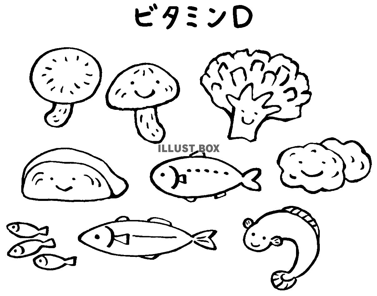 ビタミンDの多い食品１（モノクロ）