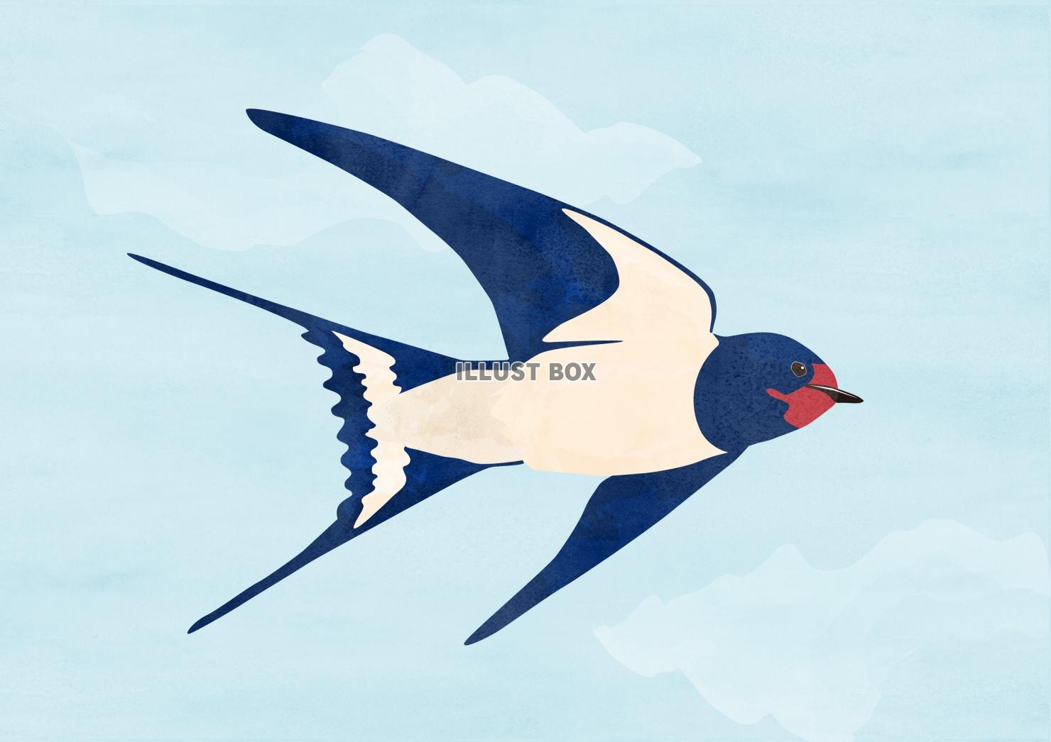 青空を飛ぶツバメ水彩風(zip:pdf,jpg,透過png)