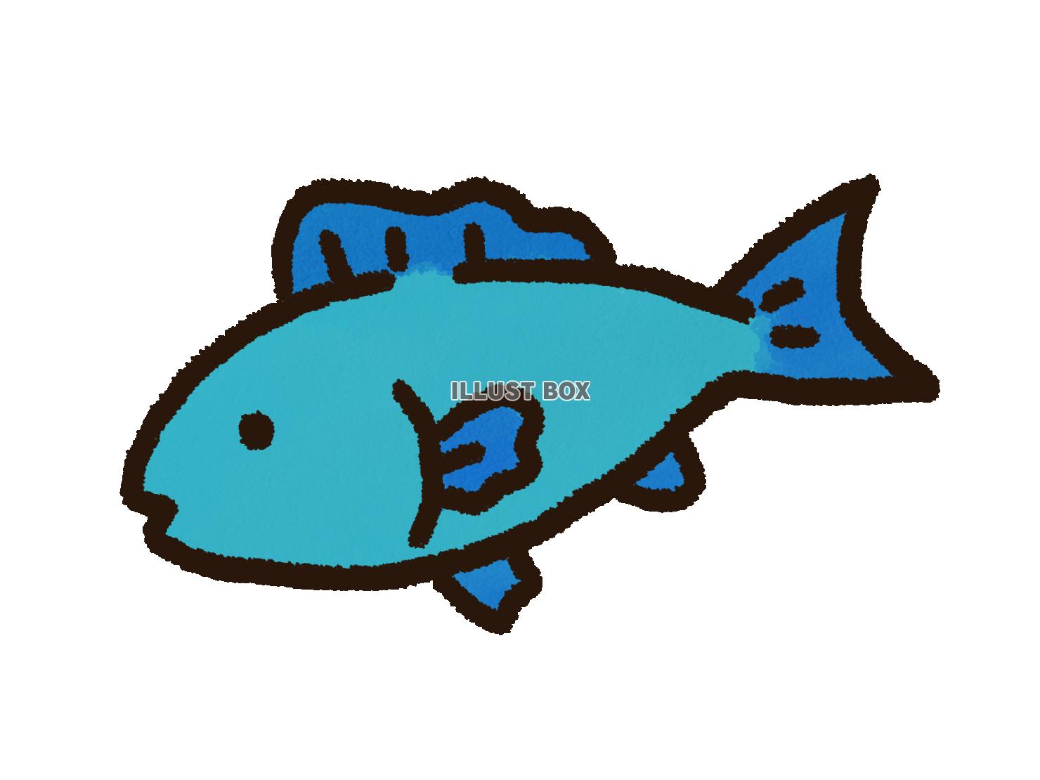 魚