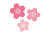 さくら 3色