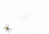 蜘蛛の巣と蜘蛛　壁紙　背景