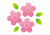 さくら 葉付き