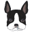 犬、鼻水