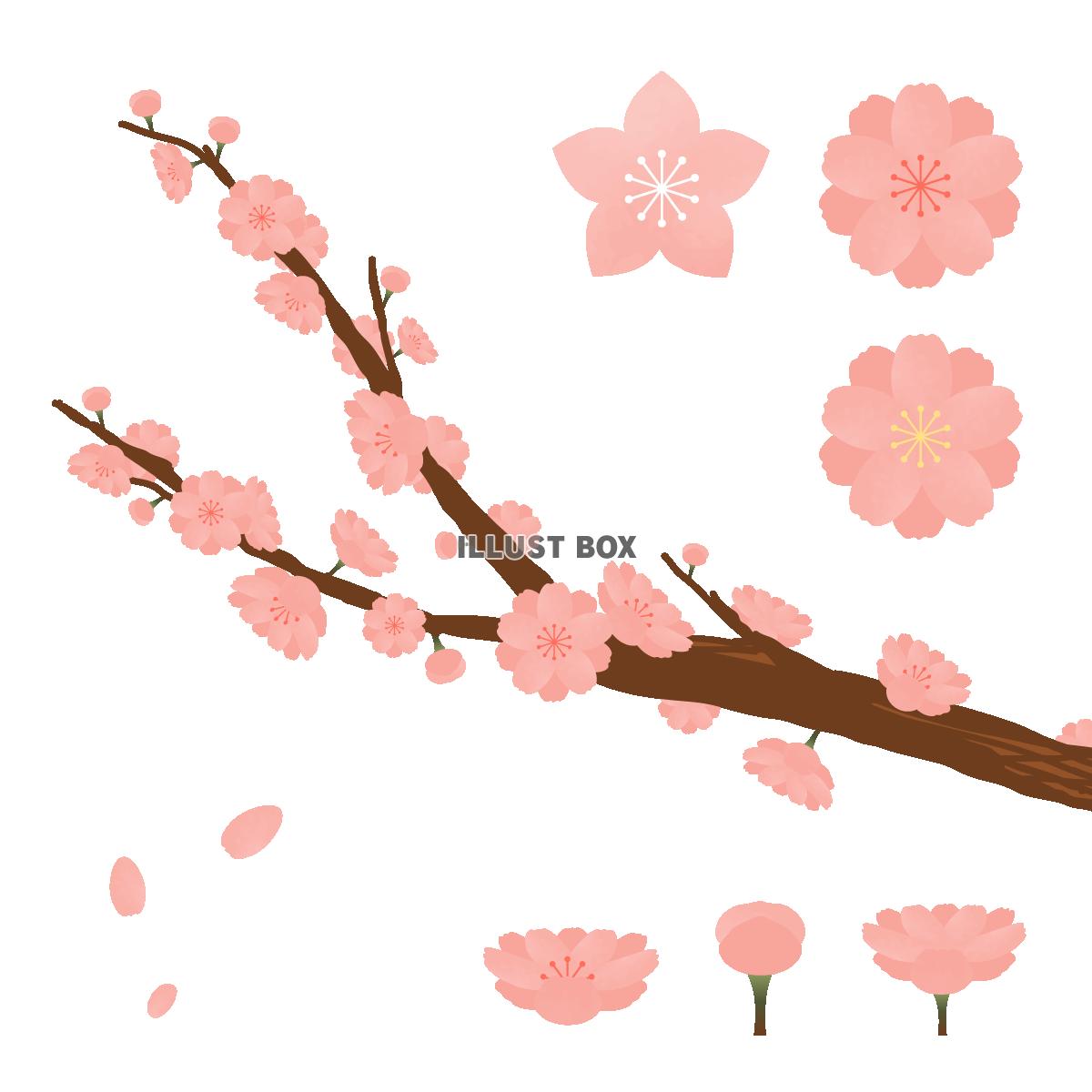 無料イラスト 色々な桃の花のパーツ