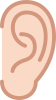 シンプルな耳の線画