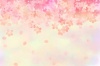 桜のフレーム　虹色