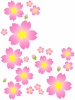 桜の花模様壁紙シンプル背景素材イラスト