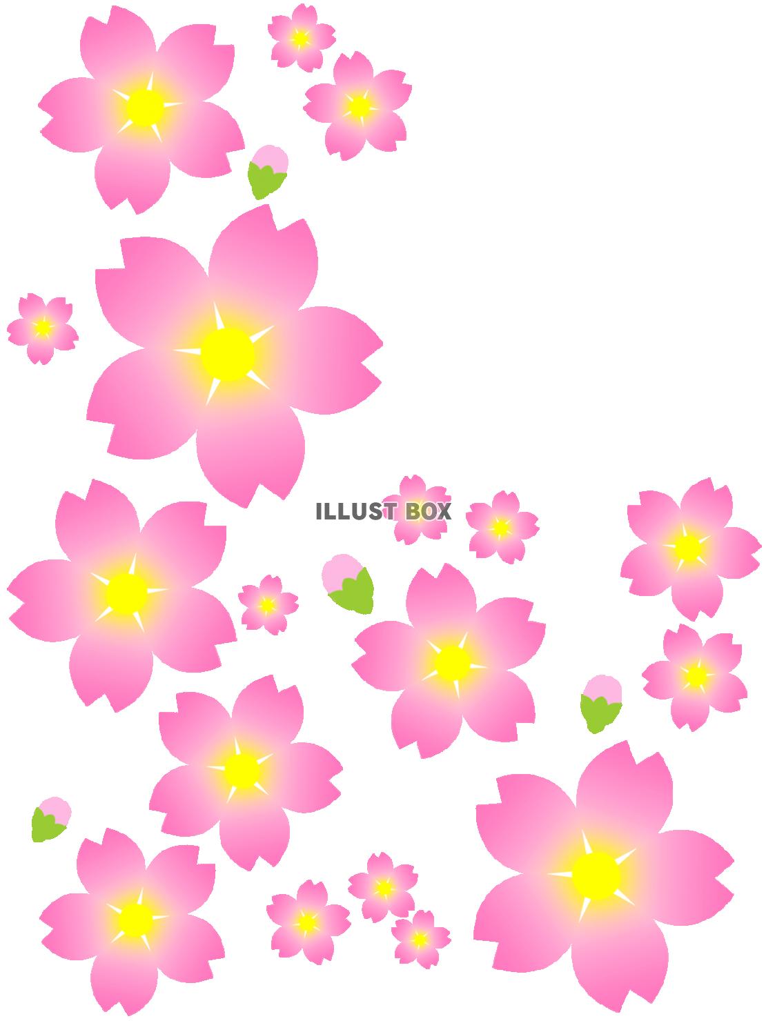 無料イラスト 桜の花模様壁紙シンプル背景素材イラスト 透過 Png