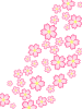 桜の花模様壁紙シンプル背景素材イラスト。透過 png