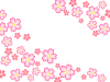 桜の花模様壁紙シンプル背景素材イラスト。透過 png 