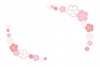 桜ポストカード05