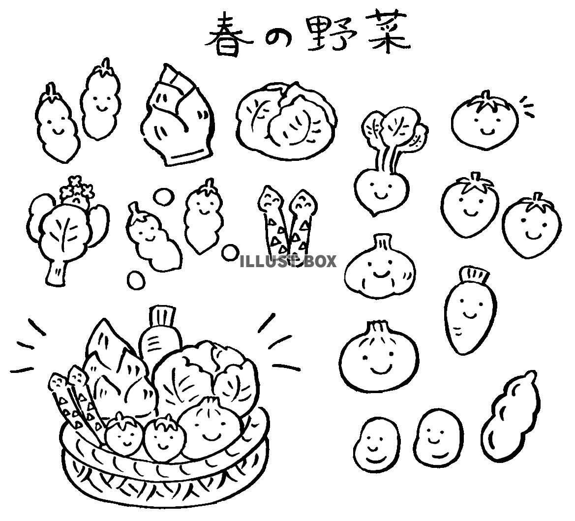 春野菜 イラスト無料