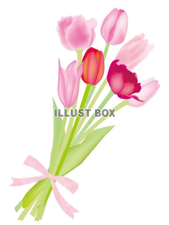 ピンクの花 イラスト無料