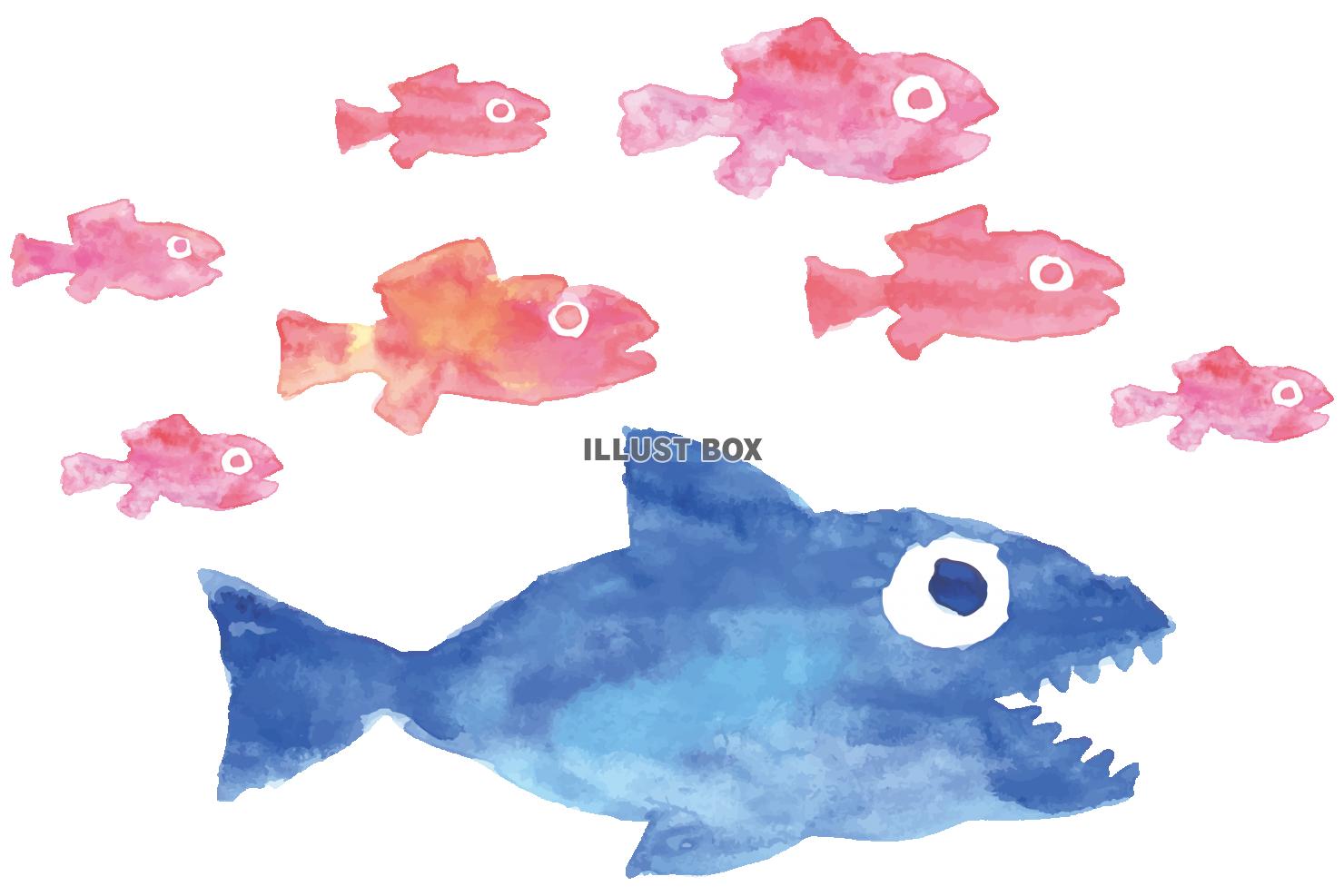 無料イラスト 魚 小魚 大魚 サメ 水彩画 イラスト