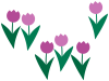 チューリップ背景素材イラスト花模様壁紙。透過png