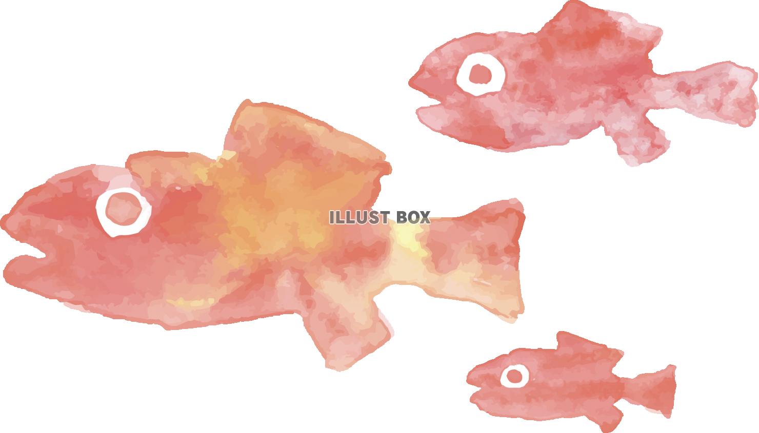 無料イラスト 魚の家族 小魚 水彩画 手書きイラスト