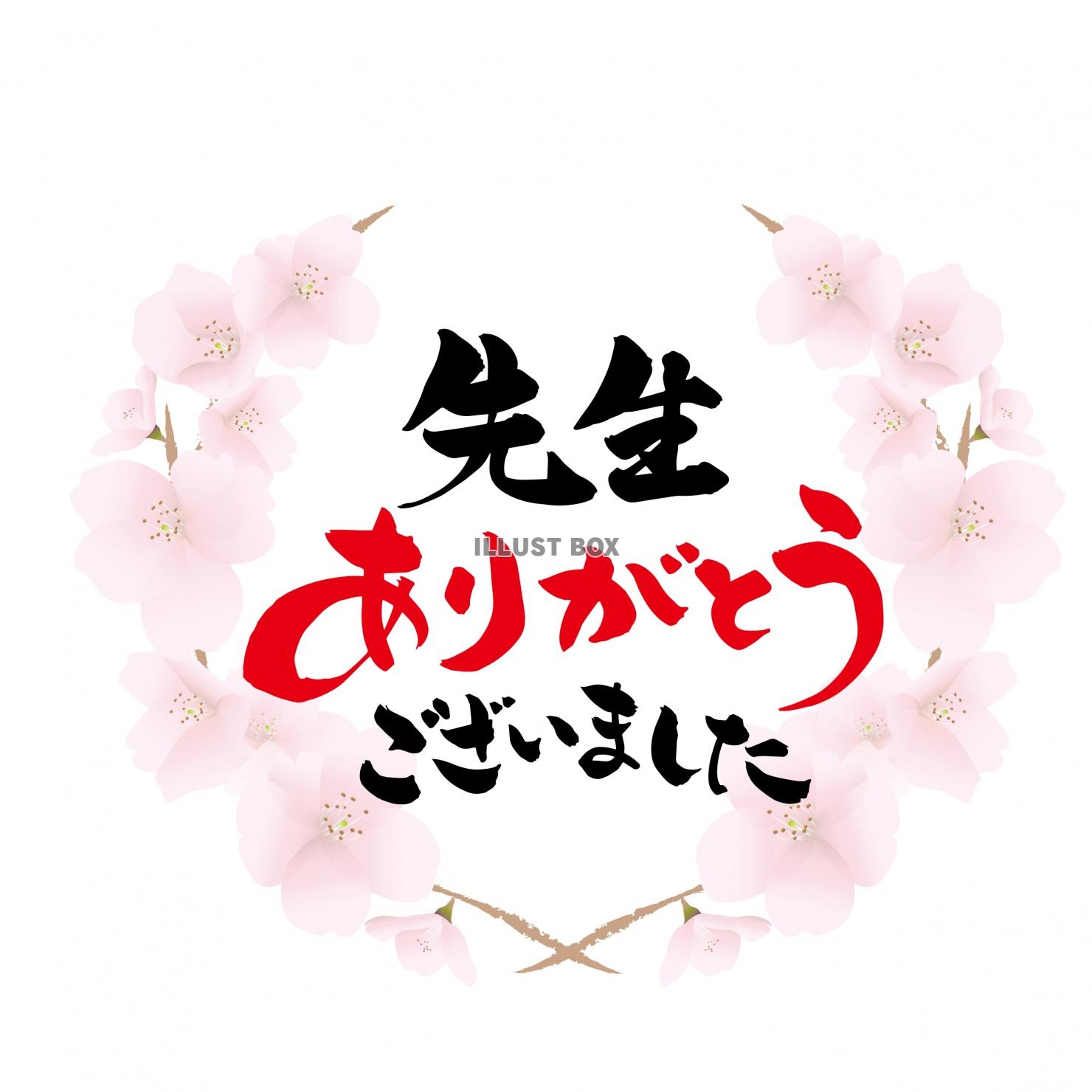 先生ありがとう 桜のフレーム 筆文字　ロゴ