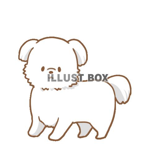 イラスト素材 犬 イラスト無料