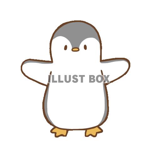 無料イラスト ペンギン 子供 正面