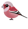 ベニマシコ（日本の野鳥）透過PNG