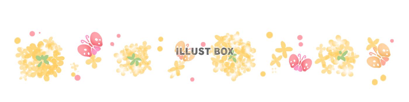 菜の花と蝶々のライン
