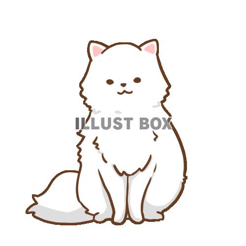 無料イラスト フワフワ猫さん 白