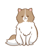 フワフワ猫さん（白茶）