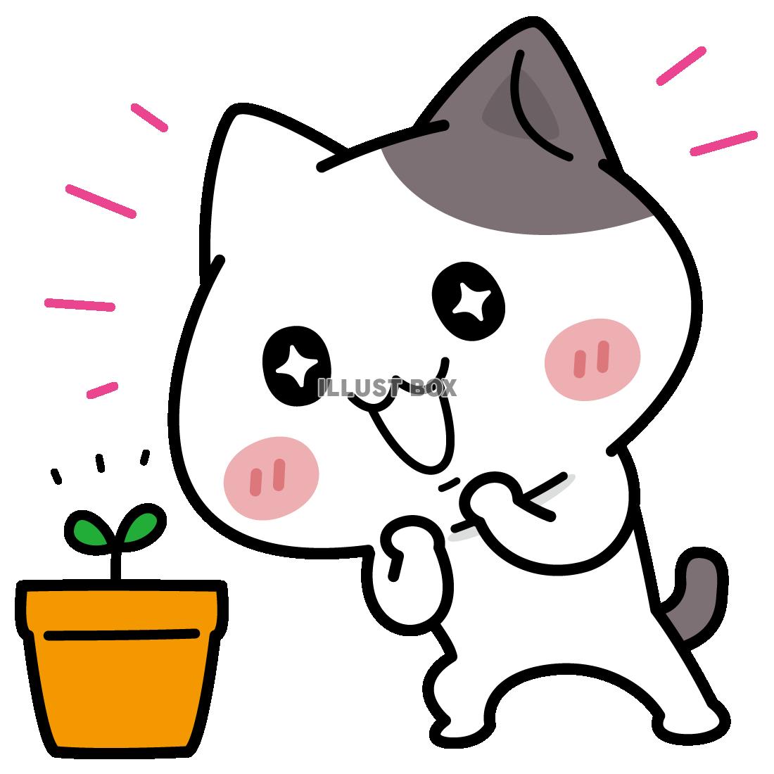 無料イラスト 芽が出たっ ぶち猫 にゃんこ