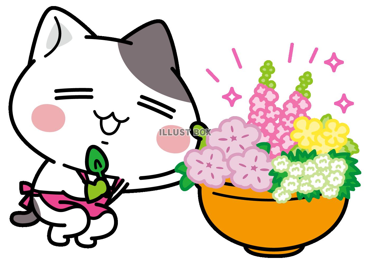 寄せ植え出来た！＜ぶち猫　にゃんこ＞