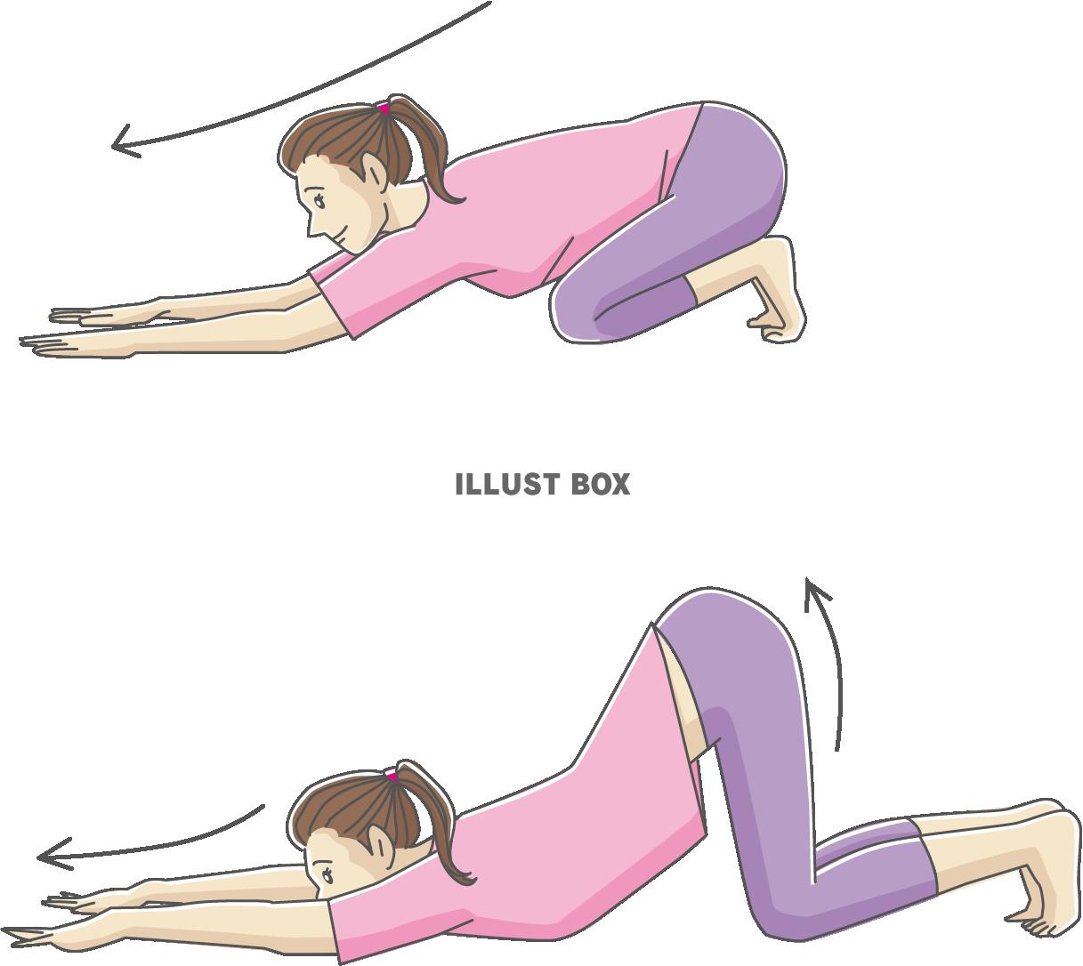 ストレッチ