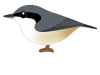 ゴジュウカラ（日本の野鳥）透過PNG