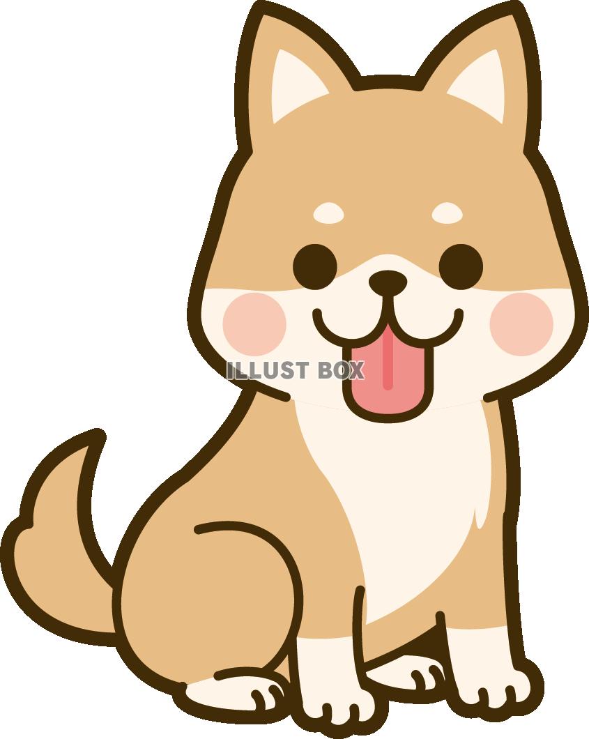 柴犬 イラスト かわいい