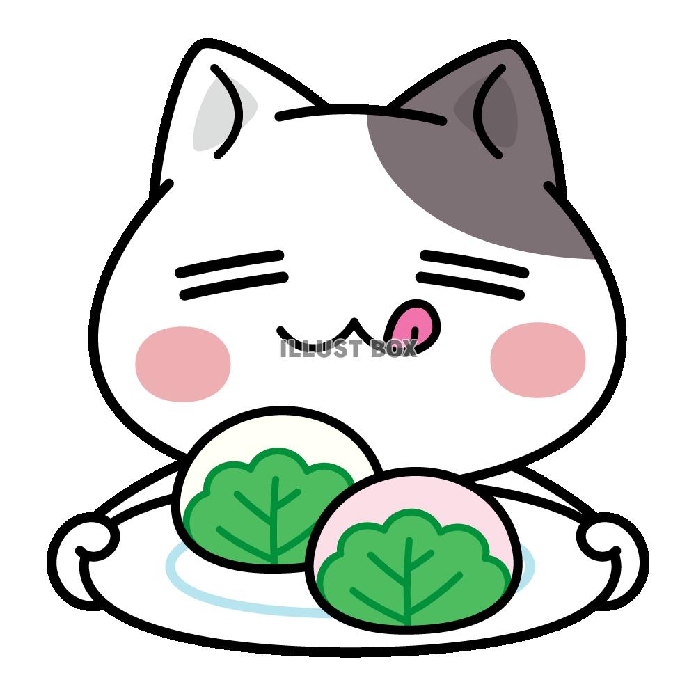 柏餅、食べる？＜ぶち猫　にゃんこ＞